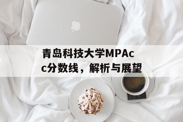 青岛科技大学MPAcc分数线，解析与展望
