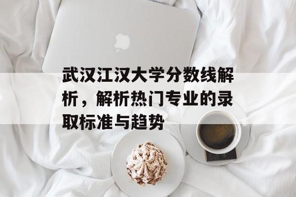 武汉江汉大学分数线解析，解析热门专业的录取标准与趋势