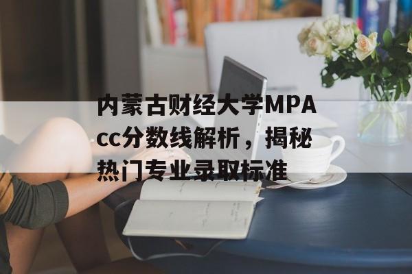内蒙古财经大学MPAcc分数线解析，揭秘热门专业录取标准