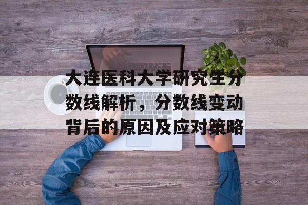 大连医科大学研究生分数线解析，分数线变动背后的原因及应对策略