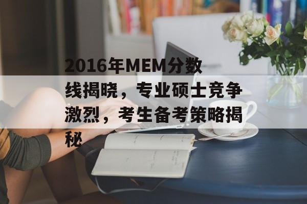 2016年MEM分数线揭晓，专业硕士竞争激烈，考生备考策略揭秘