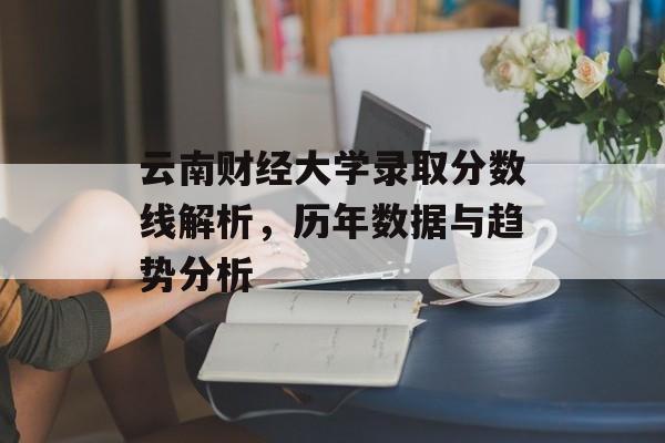 云南财经大学录取分数线解析，历年数据与趋势分析