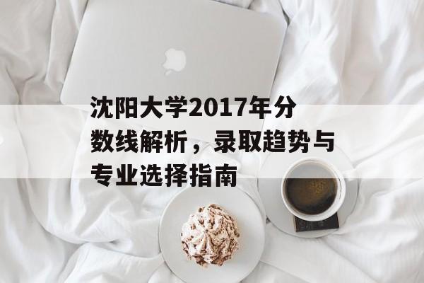 沈阳大学2017年分数线解析，录取趋势与专业选择指南