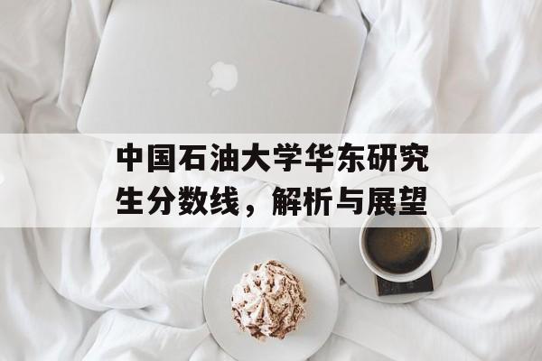 中国石油大学华东研究生分数线，解析与展望