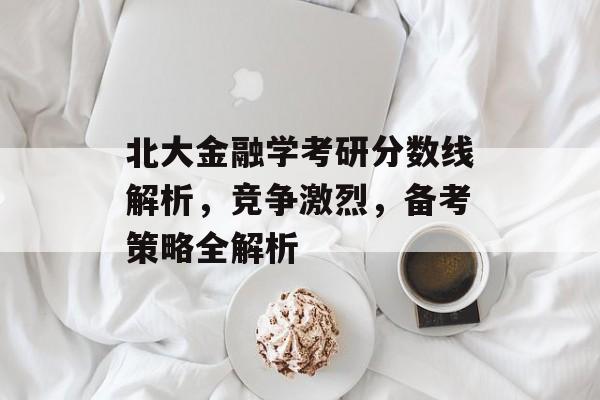北大金融学考研分数线解析，竞争激烈，备考策略全解析