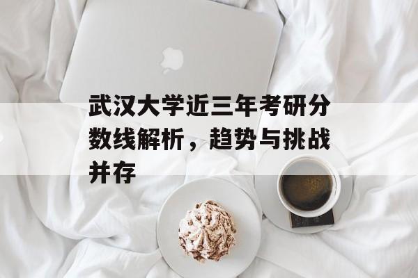 武汉大学近三年考研分数线解析，趋势与挑战并存