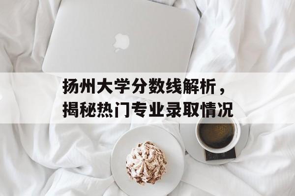 扬州大学分数线解析，揭秘热门专业录取情况