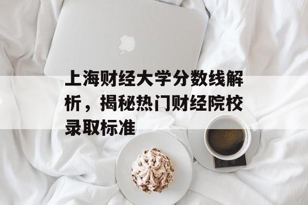 上海财经大学分数线解析，揭秘热门财经院校录取标准