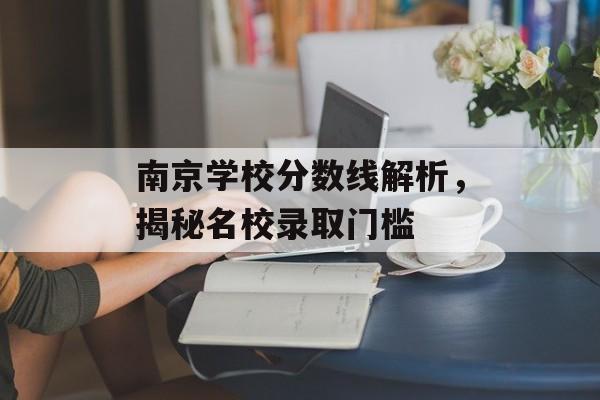 南京学校分数线解析，揭秘名校录取门槛