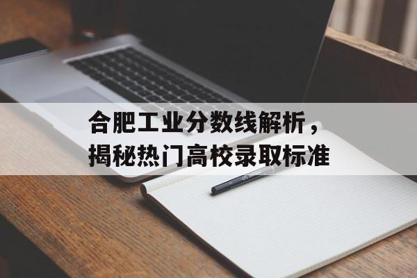 合肥工业分数线解析，揭秘热门高校录取标准