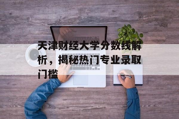 天津财经大学分数线解析，揭秘热门专业录取门槛