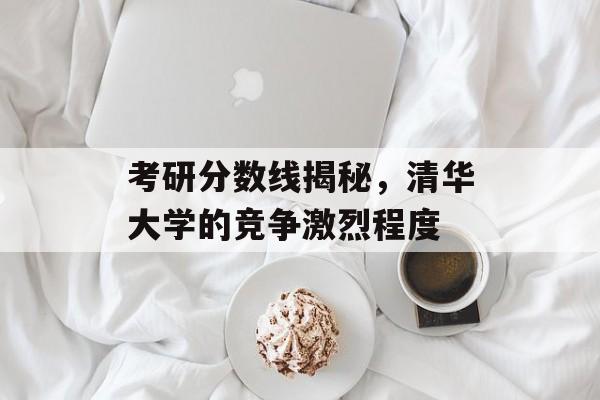考研分数线揭秘，清华大学的竞争激烈程度