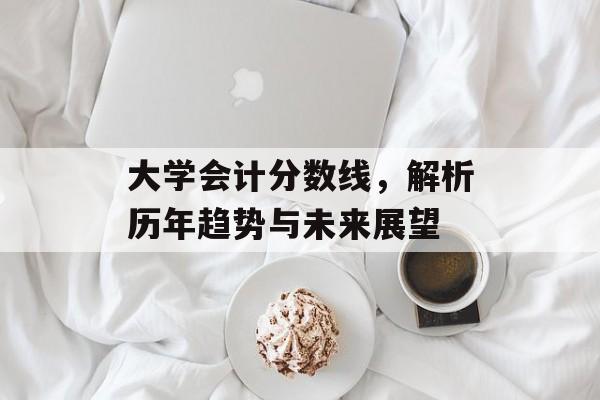 大学会计分数线，解析历年趋势与未来展望