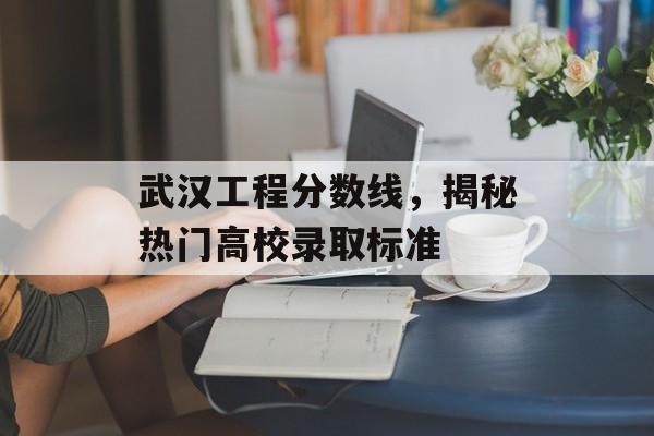 武汉工程分数线，揭秘热门高校录取标准