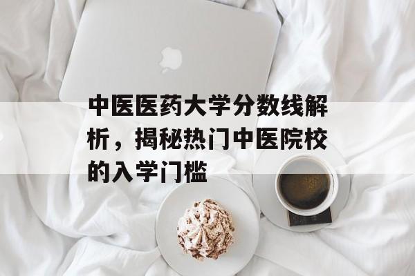 中医医药大学分数线解析，揭秘热门中医院校的入学门槛