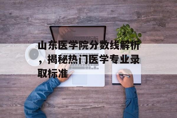 山东医学院分数线解析，揭秘热门医学专业录取标准