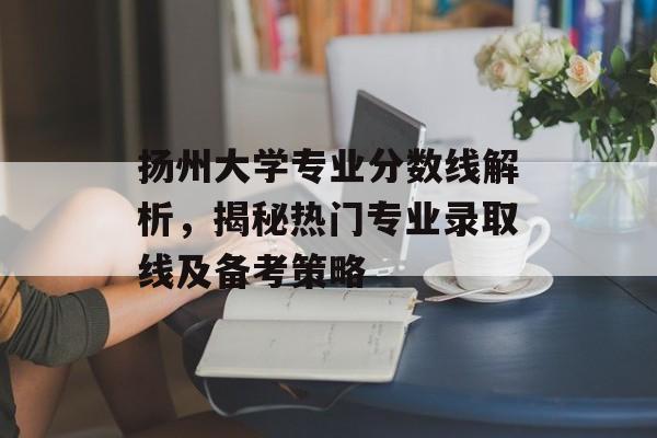 扬州大学专业分数线解析，揭秘热门专业录取线及备考策略
