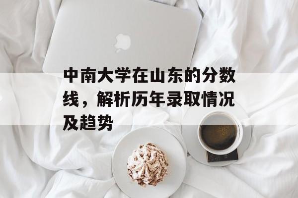 中南大学在山东的分数线，解析历年录取情况及趋势