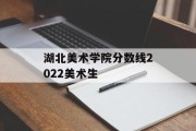 湖北美术学院分数线2022美术生