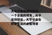 大学毕业后就业前后，一个全面的视角，从毕业到就业，大学毕业生职业生涯的全面观察
