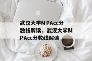 武汉大学MPAcc分数线解读，武汉大学MPAcc分数线解读