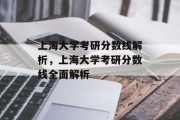 上海大学考研分数线解析，上海大学考研分数线全面解析