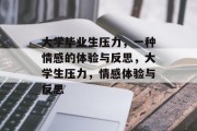 大学毕业生压力，一种情感的体验与反思，大学生压力，情感体验与反思