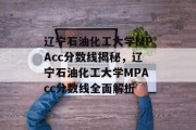 辽宁石油化工大学MPAcc分数线揭秘，辽宁石油化工大学MPAcc分数线全面解析