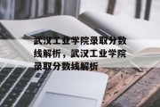 武汉工业学院录取分数线解析，武汉工业学院录取分数线解析
