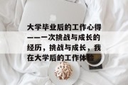 大学毕业后的工作心得——一次挑战与成长的经历，挑战与成长，我在大学后的工作体验