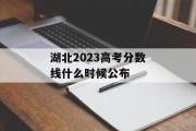湖北2023高考分数线什么时候公布