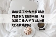 哈尔滨工业大学在湖北的录取分数线揭秘，哈尔滨工业大学在湖北录取分数线揭秘