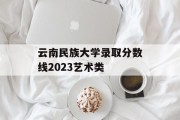云南民族大学录取分数线2023艺术类