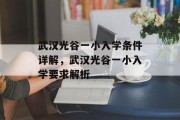 武汉光谷一小入学条件详解，武汉光谷一小入学要求解析