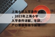 上海小学入学条件详解，2023年上海小学入学条件详解，年龄、户口要求等细节解读