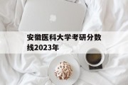 安徽医科大学考研分数线2023年
