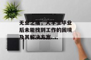 无业之痛，大学生毕业后未能找到工作的困境及其解决方案
