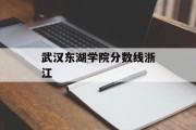 武汉东湖学院分数线浙江