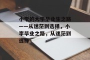 小李的大学毕业生之路——从迷茫到选择，小李毕业之路，从迷茫到选择