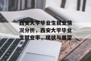 西安大学毕业生就业情况分析，西安大学毕业生就业率，现状与展望