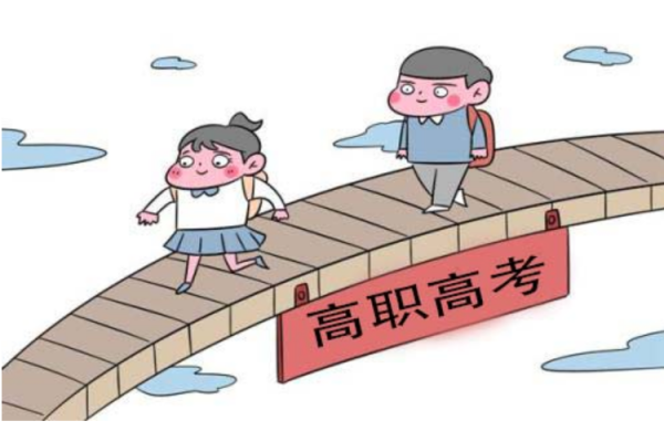 2024年高职高考政策