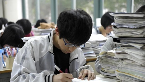 新高考历景坐似史类可以报考哪些专业