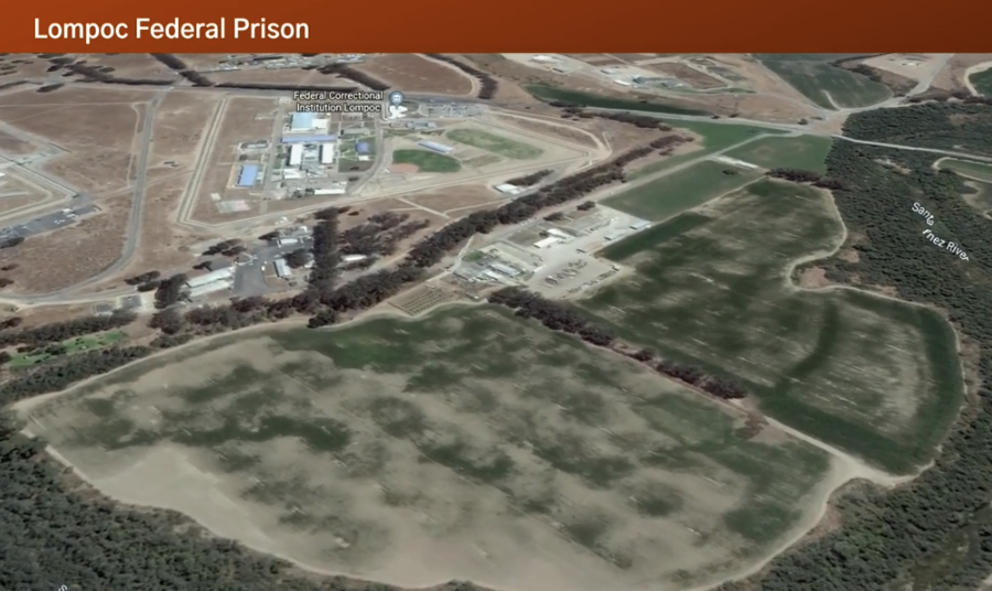 重获自由身!前华人首富赵长鹏刑满释放 接下来专心做“赵老师”?