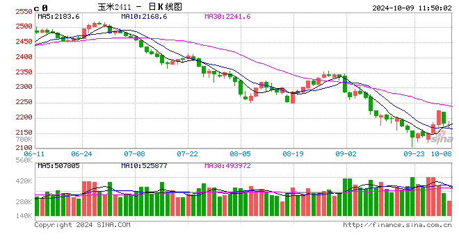 十一刚过完，玉米又分裂了！