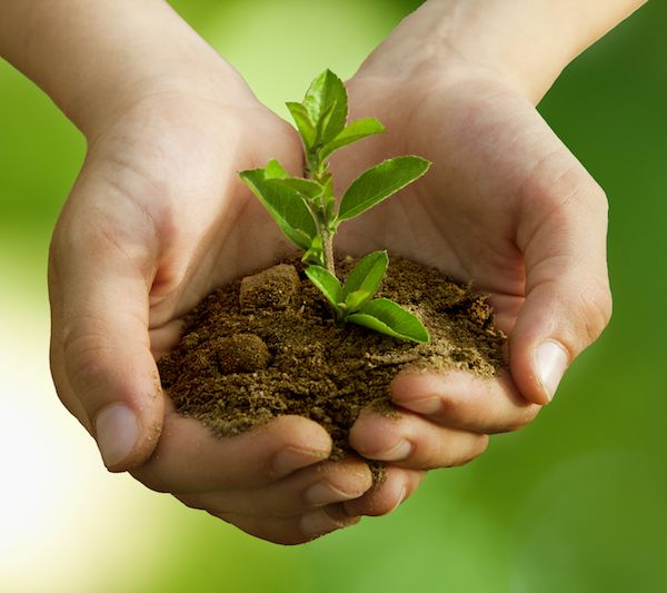 支持国资基金试错!深圳首提“大胆资本”,到2026年形成万亿级政府投资基金群