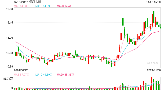 横店东磁毛利率创上市17年最低:光伏投资出现重大失误 32亿转债融资一年半无果