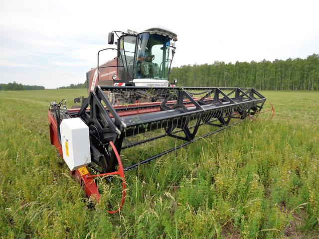 李昂:俄罗斯越打越富,怎么回事?