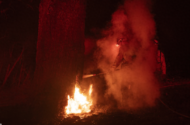 特朗普怒了!洛杉矶史上最大火灾,损失预估1500亿美元!哈里斯、拜登之子豪宅被毁