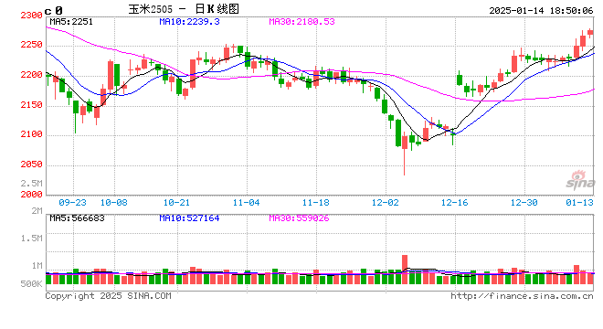 玉米:近期连续拉涨,后市仍能大涨?