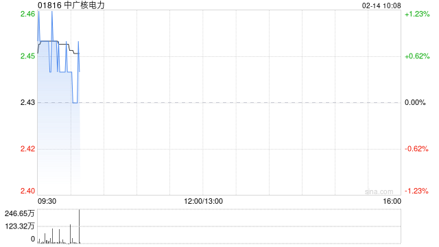 中广核电力向不特定对象发行A股可转换公司债券申请获得深交所上市审核委员会审核通过